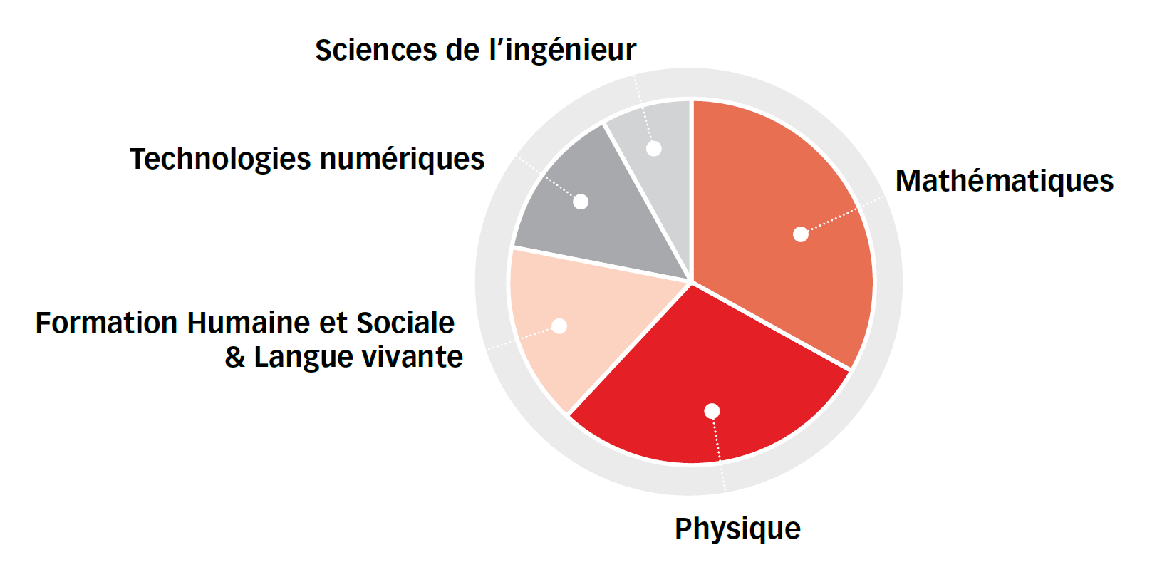 Programme de l'option Sciences