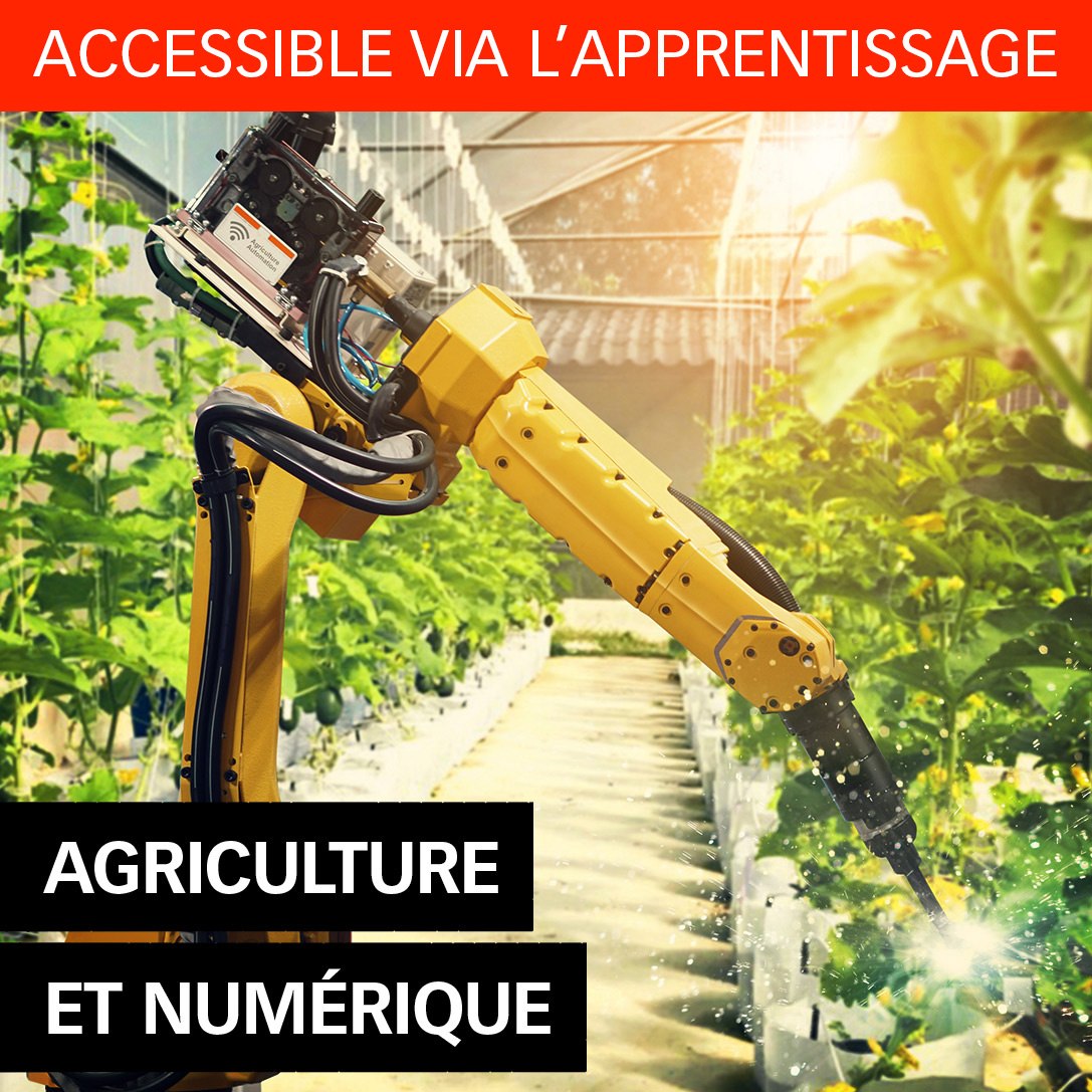 DP Agriculture et Numérique ISEN Ouest