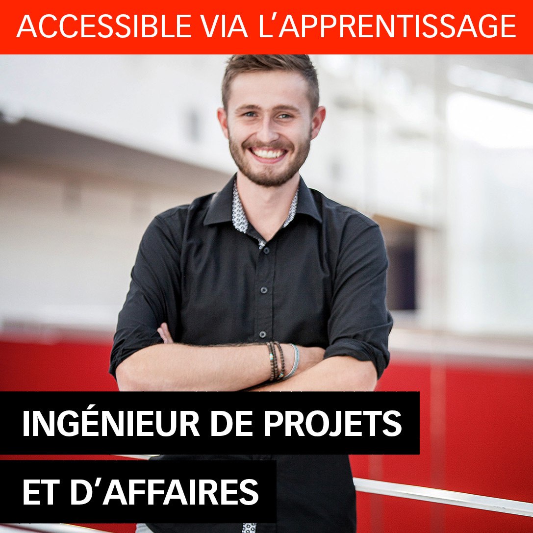 DP Ingénieur de Projets et d'Affaires ISEN Ouest