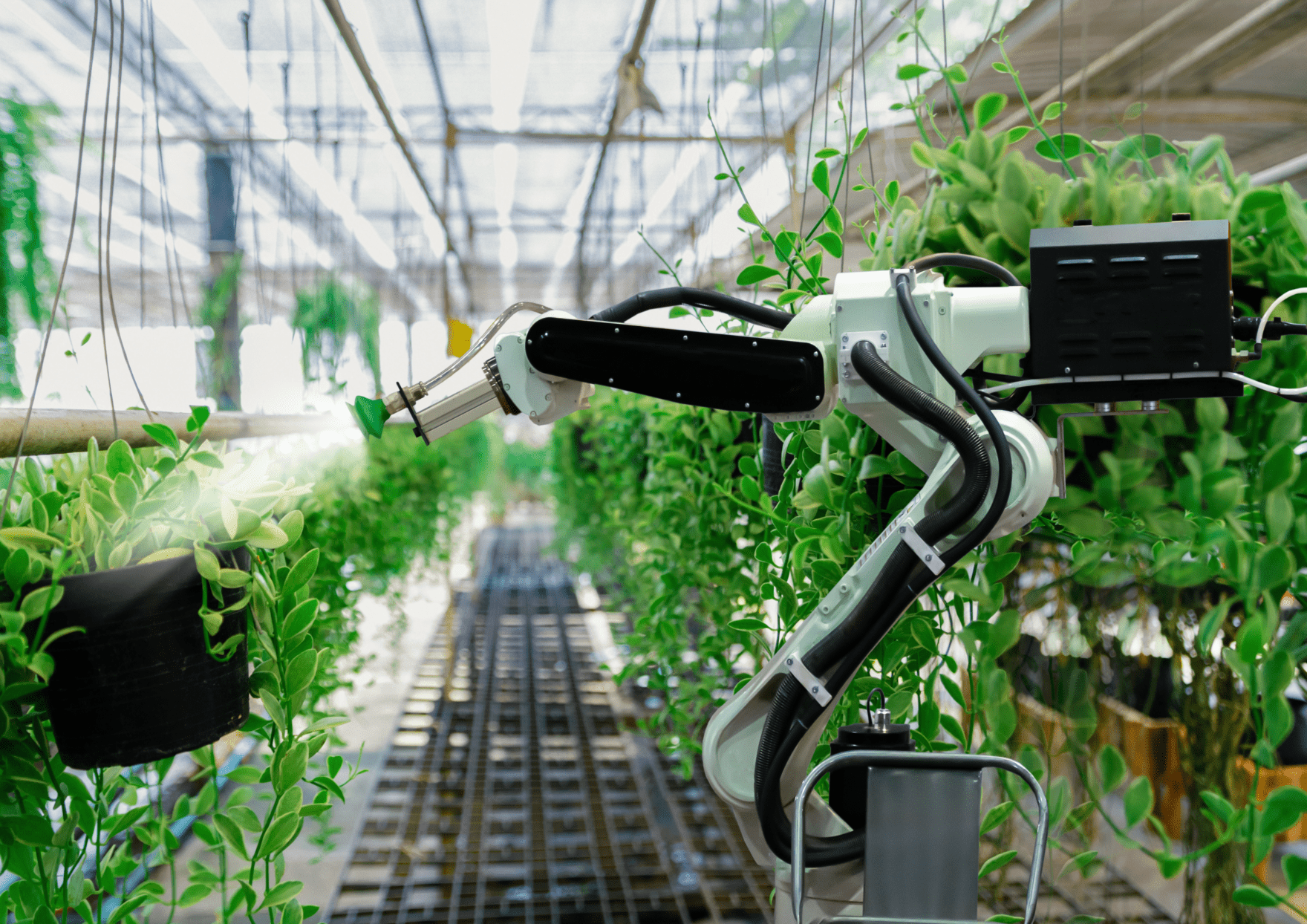 DP Agriculture et Numérique ISEN Ouest