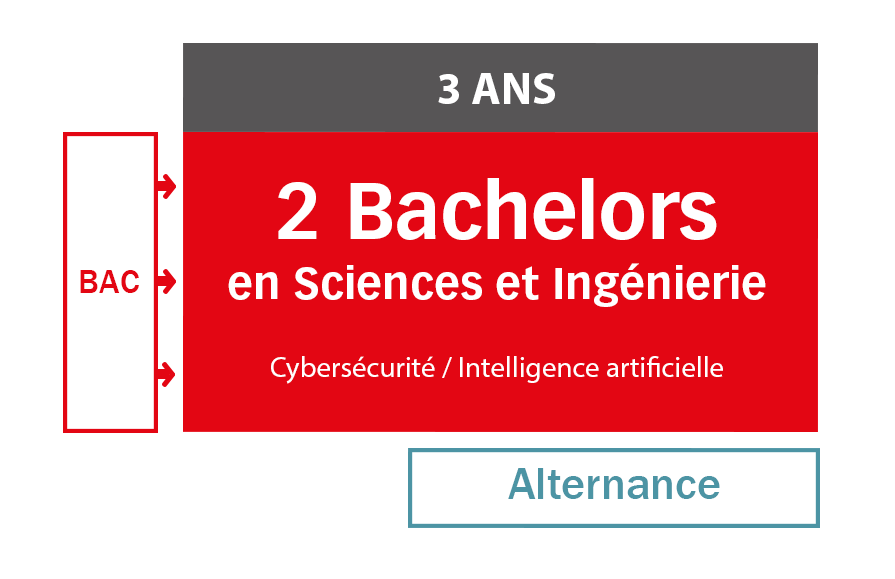 Schéma des études ISEN Ouest - Formations bachelors