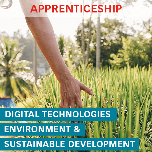 DP Digital technologies, environnement and sustainable development ISEN Ouest