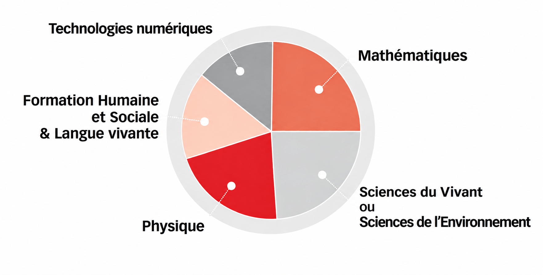 Répartition des enseignements du cycle SVT